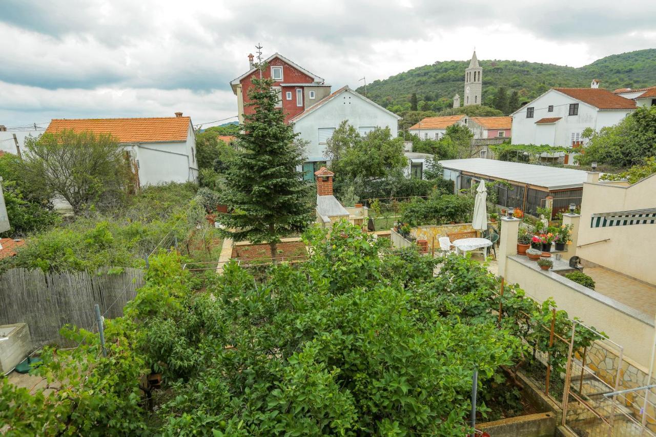 Apartments Maslina Bozava Božava Exterior foto