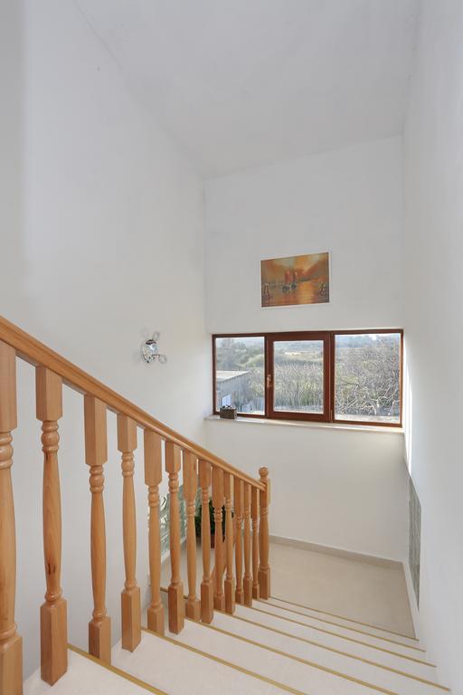 Apartments Maslina Bozava Božava Exterior foto